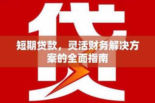 龙文短期贷款，灵活财务解决方案的全面指南