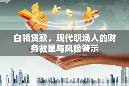 龙文白领贷款，现代职场人的财务救星与风险警示