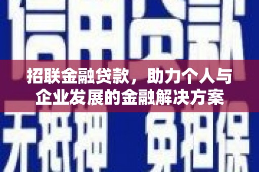 龙文招联金融贷款，助力个人与企业发展的金融解决方案