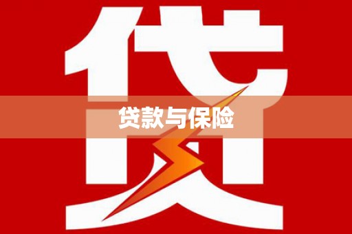 龙文贷款与保险