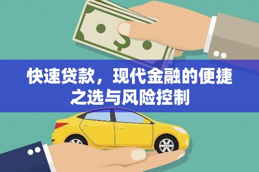 龙文快速贷款，现代金融的便捷之选与风险控制