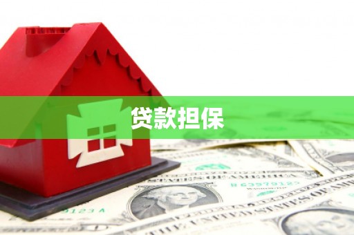 龙文贷款担保