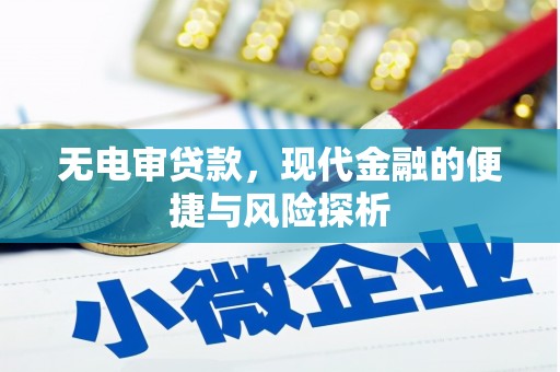 龙文无电审贷款，现代金融的便捷与风险探析