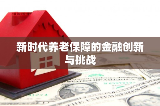 龙文新时代养老保障的金融创新与挑战