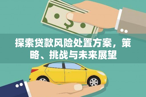 龙文探索贷款风险处置方案，策略、挑战与未来展望