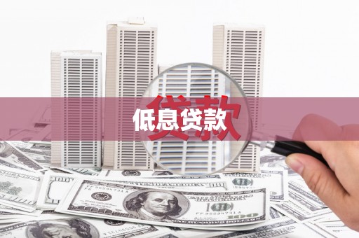 龙文低息贷款