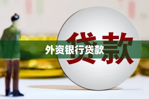 龙文外资银行贷款
