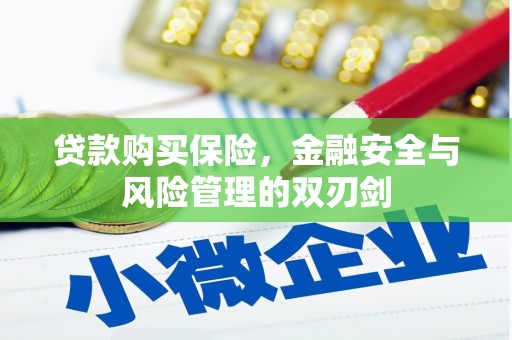 龙文贷款购买保险，金融安全与风险管理的双刃剑