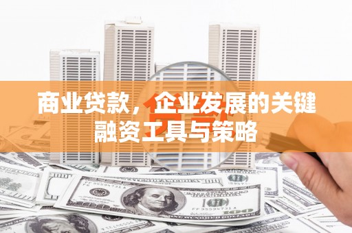 龙文商业贷款，企业发展的关键融资工具与策略