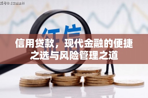 龙文信用贷款，现代金融的便捷之选与风险管理之道