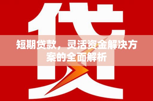 龙文短期贷款，灵活资金解决方案的全面解析