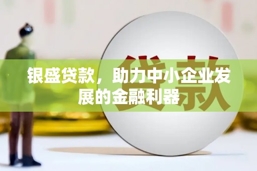 龙文银盛贷款，助力中小企业发展的金融利器