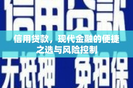 龙文信用贷款，现代金融的便捷之选与风险控制
