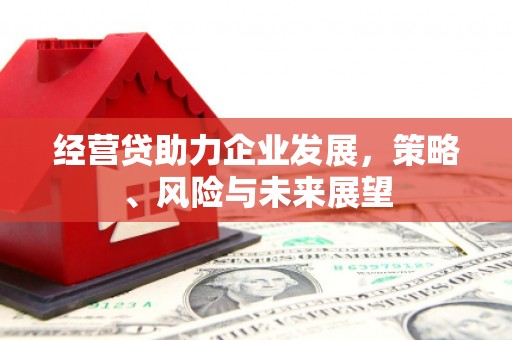 龙文经营贷助力企业发展，策略、风险与未来展望