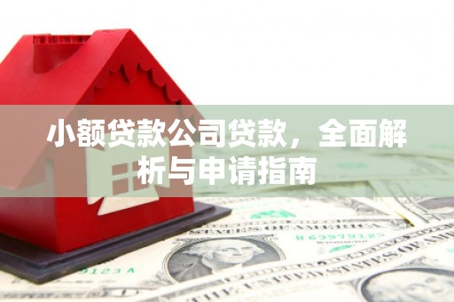 龙文小额贷款公司贷款，全面解析与申请指南