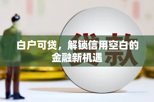 龙文白户可贷，解锁信用空白的金融新机遇