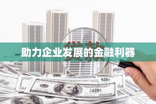 龙文助力企业发展的金融利器