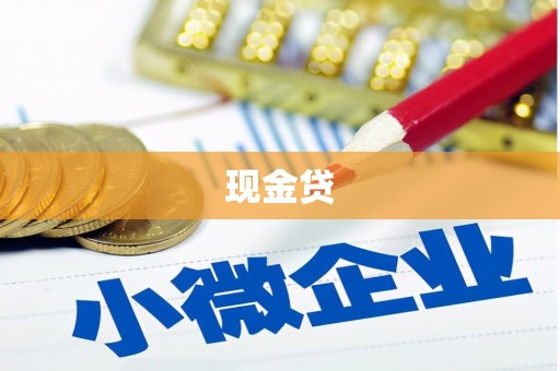 龙文现金贷