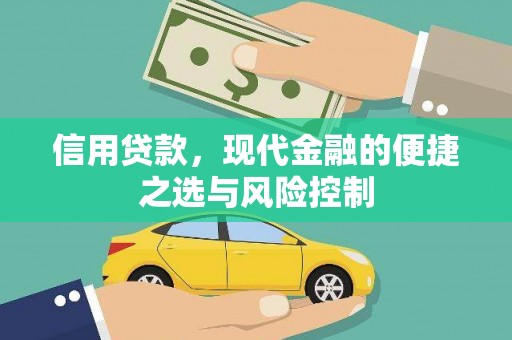 龙文信用贷款，现代金融的便捷之选与风险控制