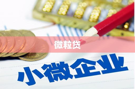 龙文微粒贷
