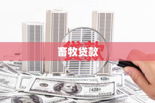 龙文畜牧贷款