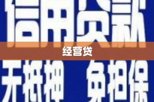 龙文经营贷