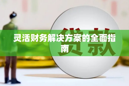龙文灵活财务解决方案的全面指南