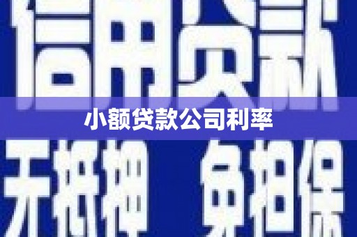 龙文小额贷款公司利率