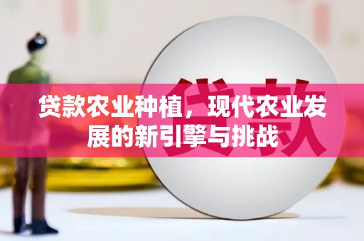 龙文贷款农业种植，现代农业发展的新引擎与挑战