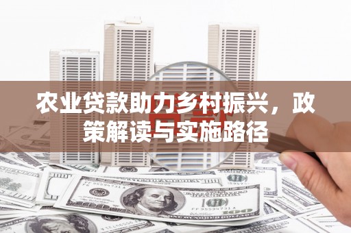 龙文农业贷款助力乡村振兴，政策解读与实施路径