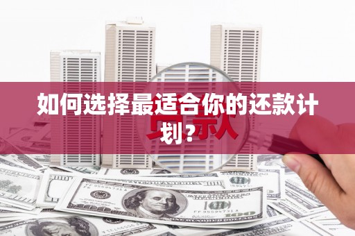 龙文如何选择最适合你的还款计划？
