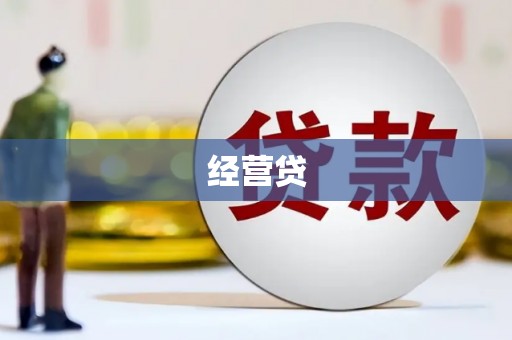 龙文经营贷