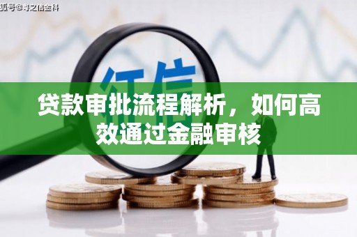 龙文贷款审批流程解析，如何高效通过金融审核