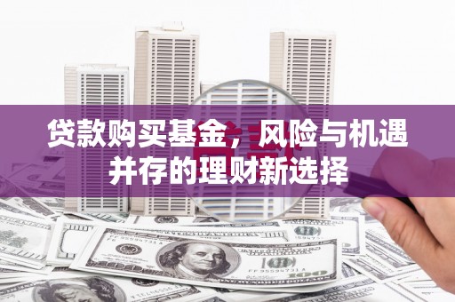 龙文贷款购买基金，风险与机遇并存的理财新选择