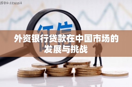 龙文外资银行贷款在中国市场的发展与挑战