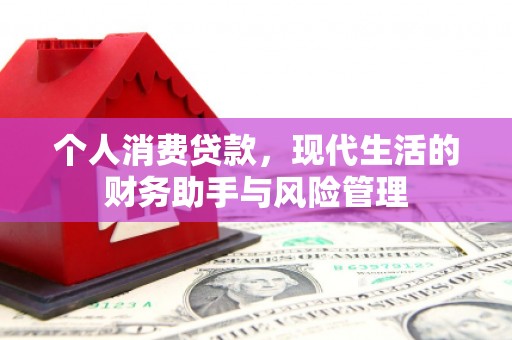 龙文个人消费贷款，现代生活的财务助手与风险管理