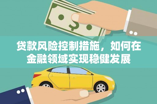 龙文贷款风险控制措施，如何在金融领域实现稳健发展