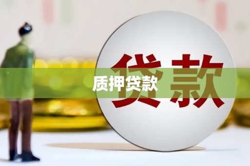 龙文质押贷款