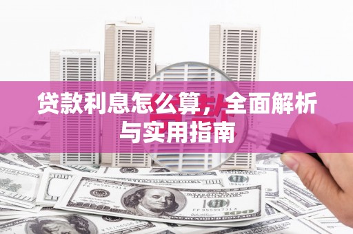 龙文贷款利息怎么算，全面解析与实用指南