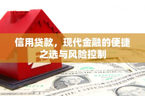 龙文信用贷款，现代金融的便捷之选与风险控制