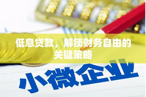 龙文低息贷款，解锁财务自由的关键策略