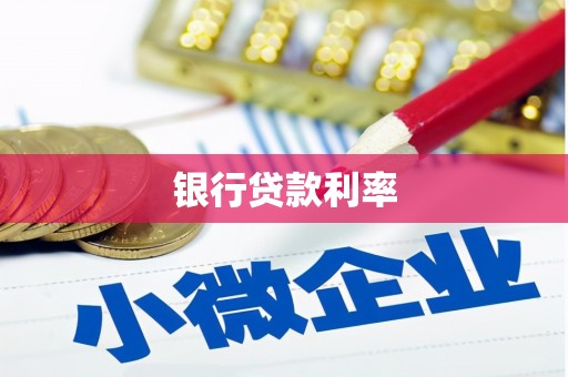 龙文银行贷款利率