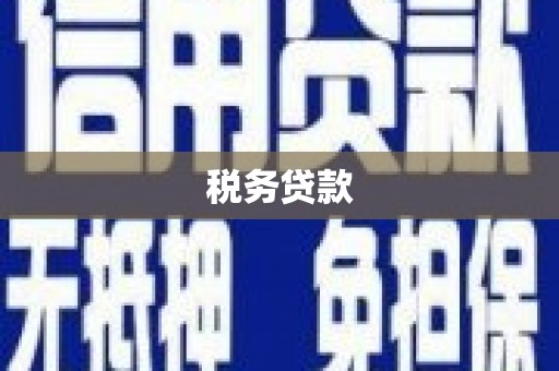 龙文税务贷款