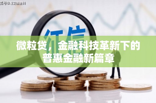 龙文微粒贷，金融科技革新下的普惠金融新篇章
