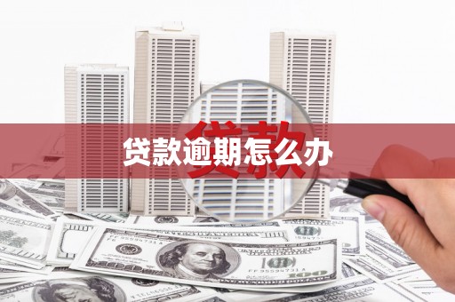 龙文贷款逾期怎么办