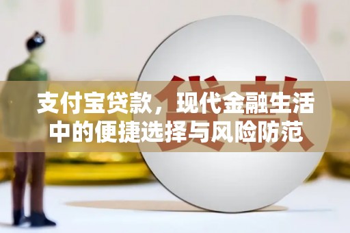 龙文支付宝贷款，现代金融生活中的便捷选择与风险防范