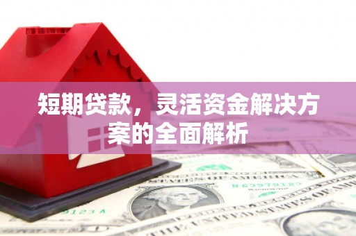 龙文短期贷款，灵活资金解决方案的全面解析