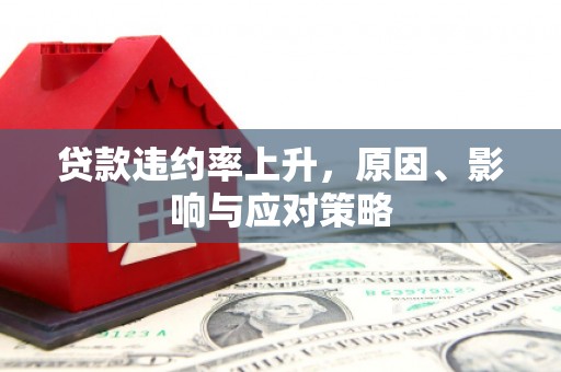 龙文贷款违约率上升，原因、影响与应对策略