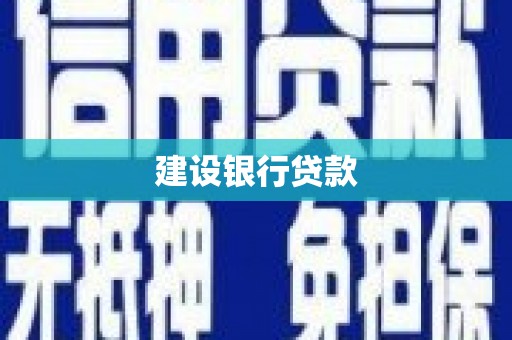龙文建设银行贷款