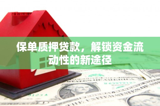 龙文保单质押贷款，解锁资金流动性的新途径